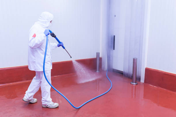 Best Winterizing Services  in Lindstrom, MN